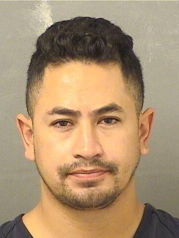 DIEGO ONARODRIGUEZ Results from Palm Beach County Florida for  DIEGO ONARODRIGUEZ