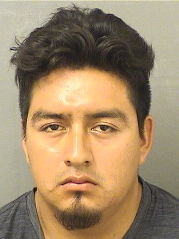 ARMANDO JOSE LOPEZCRUZ Results from Palm Beach County Florida for ARMANDO JOSE LOPEZCRUZ ARMANDO JOSE LOPEZCRUZ Results from Palm Beach County Florida for ARMANDO JOSE LOPEZCRUZ
