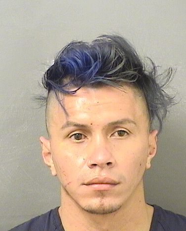  JOSE ARMANDO ORDONEZMONTOYA Resultados de la busqueda para Palm Beach County Florida para  JOSE ARMANDO ORDONEZMONTOYA