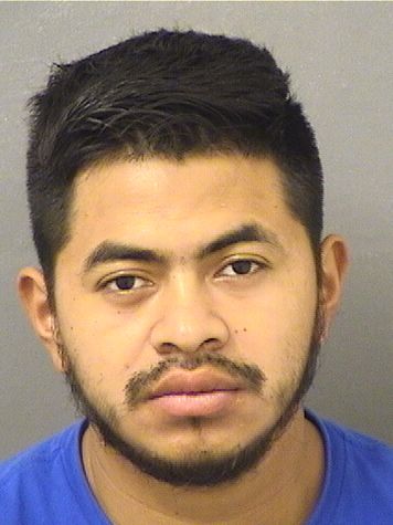  DARINEL DONALDO LUCASVILLATORO Results from Palm Beach County Florida for  DARINEL DONALDO LUCASVILLATORO