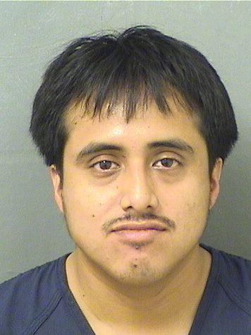  ISMAEL FRANCISCO Results from Palm Beach County Florida for  ISMAEL FRANCISCO