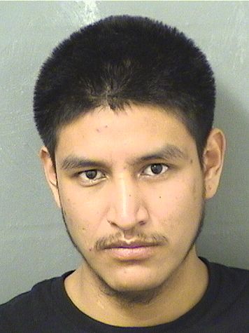  JOSE FERNANDO LOPEZGUZARO Results from Palm Beach County Florida for  JOSE FERNANDO LOPEZGUZARO