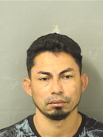  ALEX FERNANDO FLORESCASTRO Results from Palm Beach County Florida for  ALEX FERNANDO FLORESCASTRO