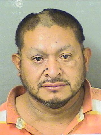  SANTOS F PEREZHERNANDEZ Results from Palm Beach County Florida for  SANTOS F PEREZHERNANDEZ