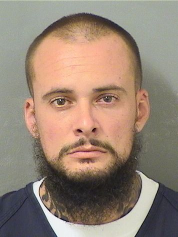  ANTONIO S CICCONE Results from Palm Beach County Florida for  ANTONIO S CICCONE