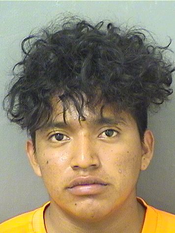  ELISEO ISAIAH LOPEZGODINAZ Results from Palm Beach County Florida for  ELISEO ISAIAH LOPEZGODINAZ