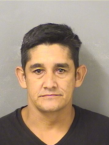  VICENTE NOE ANDINOGABARRETE Results from Palm Beach County Florida for  VICENTE NOE ANDINOGABARRETE