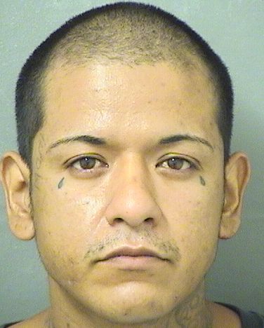  AMADO GARCIA Results from Palm Beach County Florida for  AMADO GARCIA