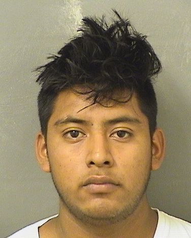  ELEAZAR LEONEL GARCIAYOC Resultados de la busqueda para Palm Beach County Florida para  ELEAZAR LEONEL GARCIAYOC