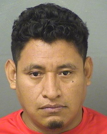  FRANCISCO JAVIER VASQUEZGOMEZ Resultados de la busqueda para Palm Beach County Florida para  FRANCISCO JAVIER VASQUEZGOMEZ