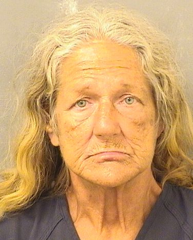  JAMIE WARD Results from Palm Beach County Florida for  JAMIE WARD