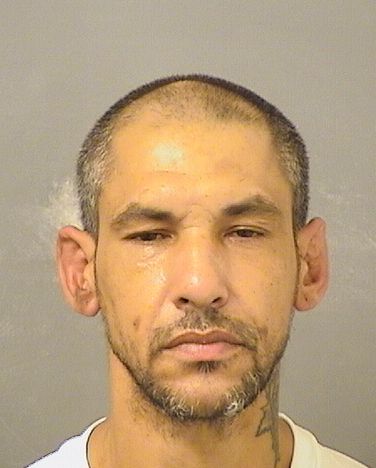  ISMAEL LOZADA Results from Palm Beach County Florida for  ISMAEL LOZADA