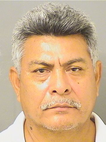JAVIER TORRESPALACIOS Results from Palm Beach County Florida for JAVIER TORRESPALACIOS JAVIER TORRESPALACIOS Results from Palm Beach County Florida for JAVIER TORRESPALACIOS