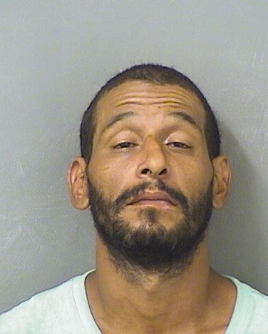  WILFREDO N ORTIZ Photo For  WILFREDO N ORTIZ