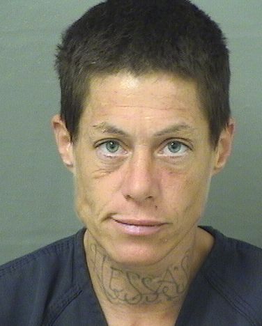  NICOLE CONNORS Results from Palm Beach County Florida for  NICOLE CONNORS