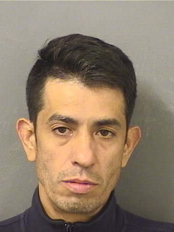  HECTOR DANIEL ROQUE Resultados de la busqueda para Palm Beach County Florida para  HECTOR DANIEL ROQUE