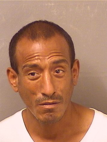  ARCE AREVALO Results from Palm Beach County Florida for  ARCE AREVALO