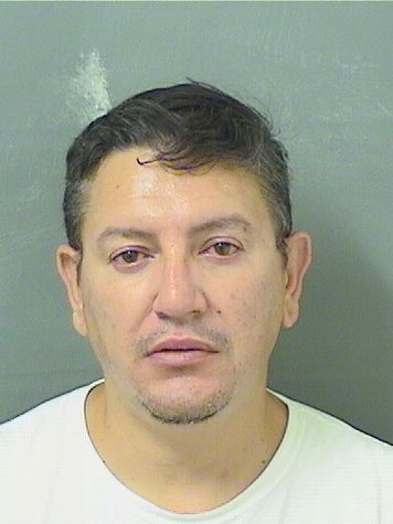  MANUEL ANTONIO COLONMONTANER Results from Palm Beach County Florida for  MANUEL ANTONIO COLONMONTANER