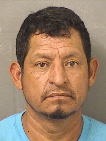 FIDENCIO FLORES Results from Palm Beach County Florida for  FIDENCIO FLORES