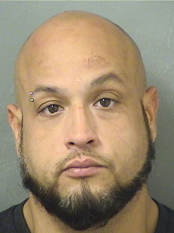  MIGUEL ANTONIO HERNANDEZ Results from Palm Beach County Florida for  MIGUEL ANTONIO HERNANDEZ
