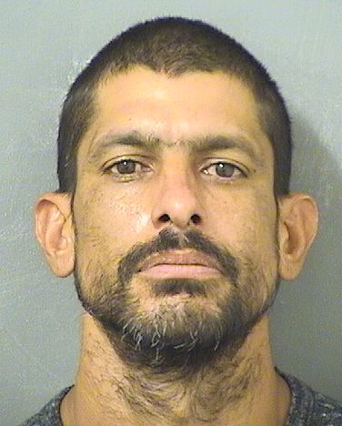  CARLOS R PACHECOLUGO Results from Palm Beach County Florida for  CARLOS R PACHECOLUGO