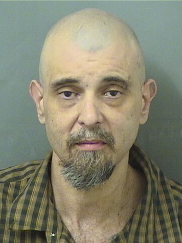  BRYON J BROOKS Results from Palm Beach County Florida for  BRYON J BROOKS