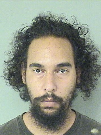  KRISTIAN ARIEL SANTIAGO Results from Palm Beach County Florida for  KRISTIAN ARIEL SANTIAGO