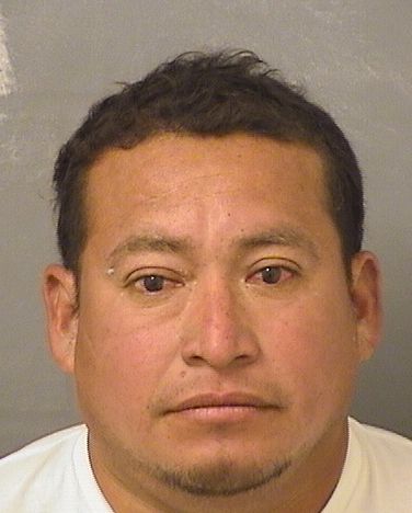  GERSZEY DANIEL VELAZQUEZORDONEZ Results from Palm Beach County Florida for  GERSZEY DANIEL VELAZQUEZORDONEZ