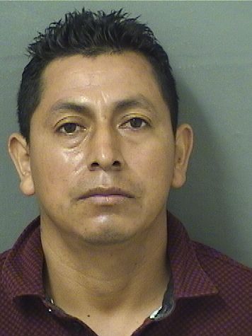  ELDER AMILCAR MEJIAVASQUEZ Resultados de la busqueda para Palm Beach County Florida para  ELDER AMILCAR MEJIAVASQUEZ