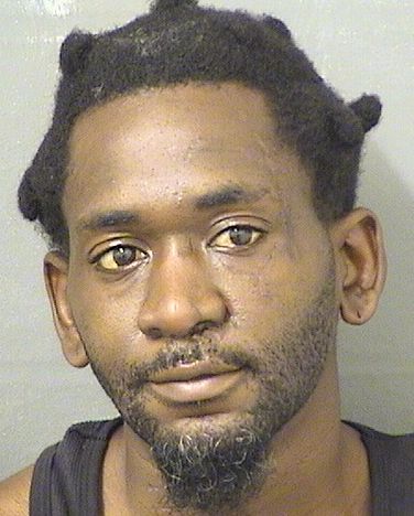  DARELLE JORDAN Results from Palm Beach County Florida for  DARELLE JORDAN