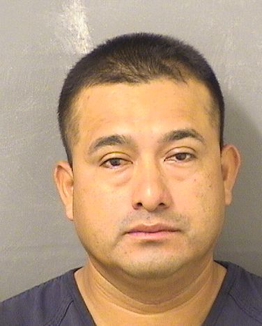  MAYNOR VELASQUEZMENDEZ Resultados de la busqueda para Palm Beach County Florida para  MAYNOR VELASQUEZMENDEZ