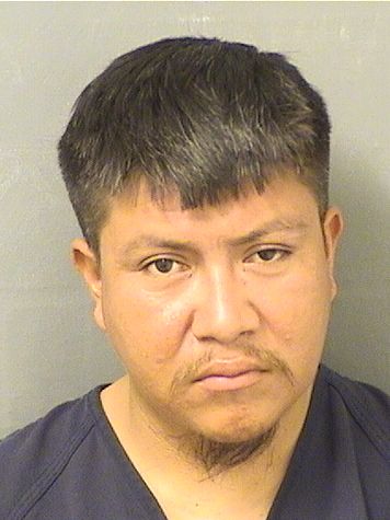  GERSON GETZABE RAMIREZ Results from Palm Beach County Florida for  GERSON GETZABE RAMIREZ