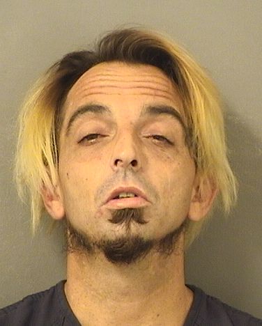  CHRISTIAN L MCDANIEL Results from Palm Beach County Florida for  CHRISTIAN L MCDANIEL