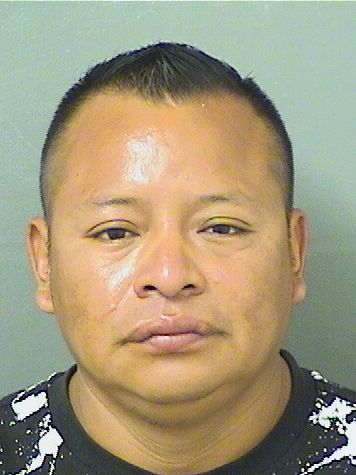  MIGUEL R ALONZO Results from Palm Beach County Florida for  MIGUEL R ALONZO