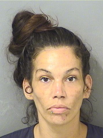  ZAYDY BLANCOVALDEZ Results from Palm Beach County Florida for  ZAYDY BLANCOVALDEZ