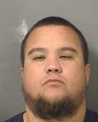  JOSE LAZARO MESA Results from Palm Beach County Florida for  JOSE LAZARO MESA