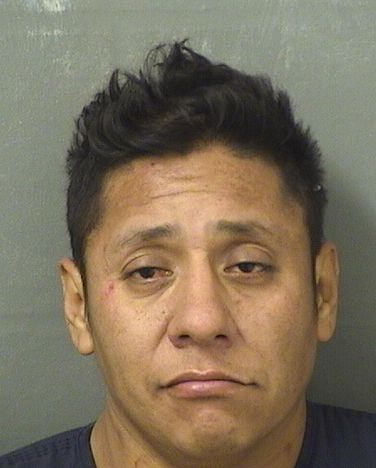  MARIN LOPEZALFARDO Photo For  MARIN LOPEZALFARDO