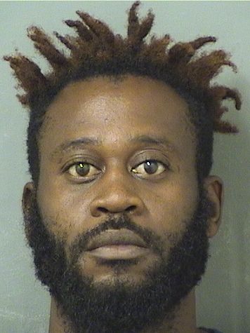  MICHAEL DESIR Results from Palm Beach County Florida for  MICHAEL DESIR