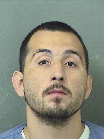  RAMIRO ALEXANDER ESTRADA Results from Palm Beach County Florida for  RAMIRO ALEXANDER ESTRADA