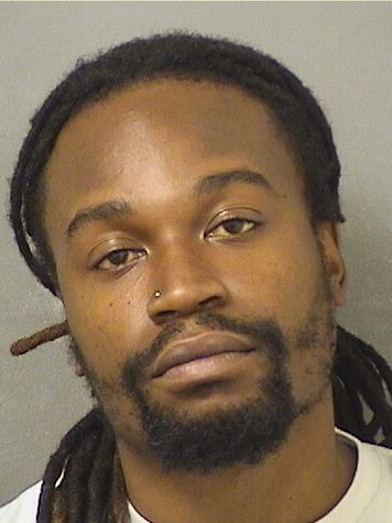  LEONAR CLAUDE LEVY Results from Palm Beach County Florida for  LEONAR CLAUDE LEVY