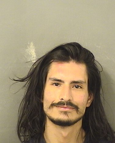  ANGELLO TRIVINOGUERRA Results from Palm Beach County Florida for  ANGELLO TRIVINOGUERRA