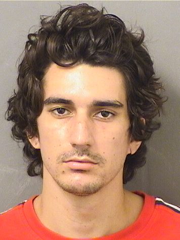  JOSEPH MICHAEL TERZO Results from Palm Beach County Florida for  JOSEPH MICHAEL TERZO