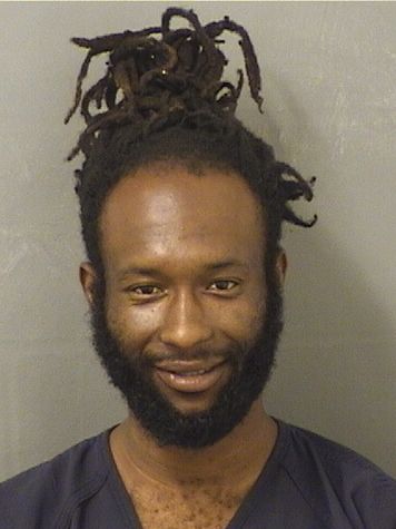  DJOVANY MICHEL Results from Palm Beach County Florida for  DJOVANY MICHEL