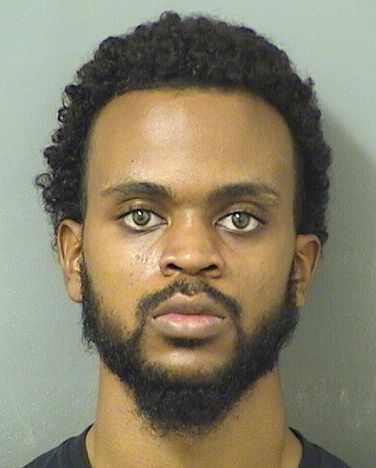  NICOLAS JULIEN PAUL Results from Palm Beach County Florida for  NICOLAS JULIEN PAUL