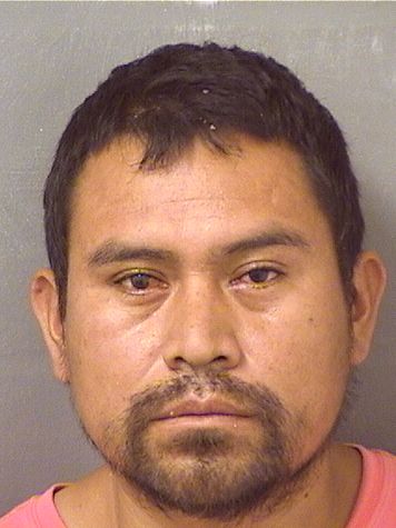  MARCELINO ORDONEZMENDEZ Results from Palm Beach County Florida for  MARCELINO ORDONEZMENDEZ