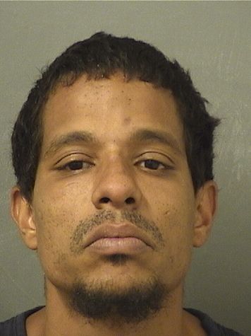  DELVIN RAMOS Results from Palm Beach County Florida for  DELVIN RAMOS