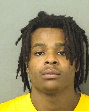  NICHOLUS I LEWIS Resultados de la busqueda para Palm Beach County Florida para  NICHOLUS I LEWIS