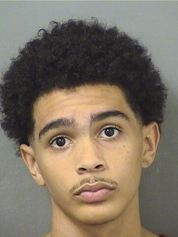  LEVI LEVARITY Results from Palm Beach County Florida for  LEVI LEVARITY