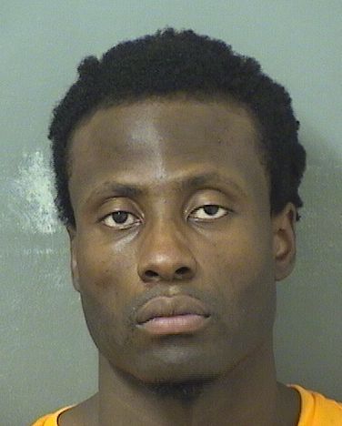  JOSHUA JONATHAN ETIENNE Results from Palm Beach County Florida for  JOSHUA JONATHAN ETIENNE