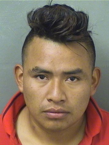  MARCO CARDONA Results from Palm Beach County Florida for  MARCO CARDONA